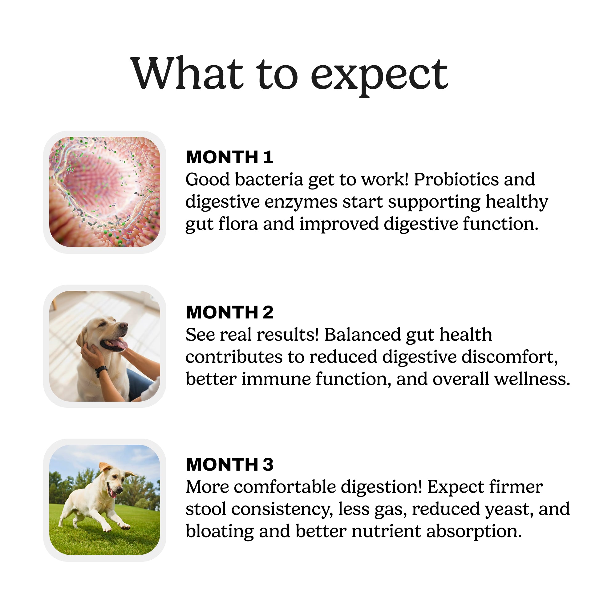 Pre & Probiotic Chews