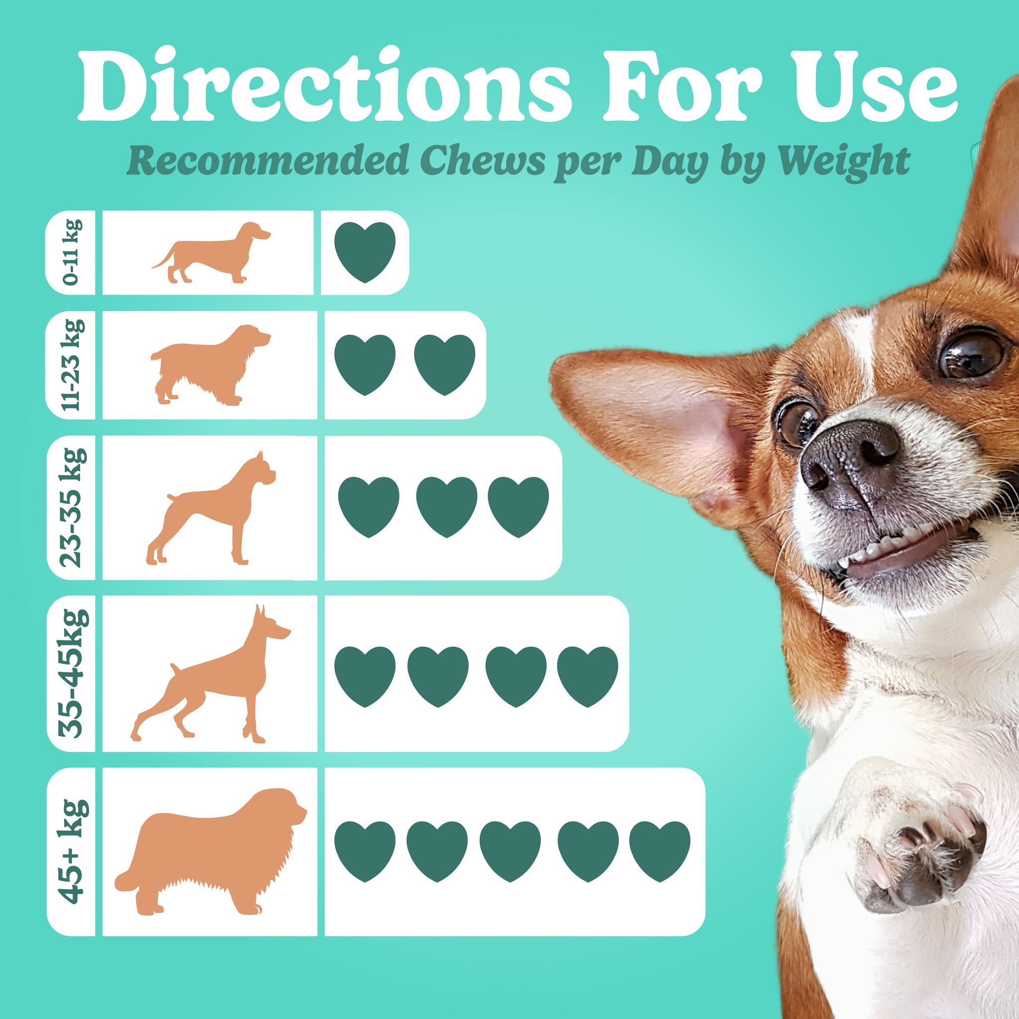 Pre & Probiotic Chews
