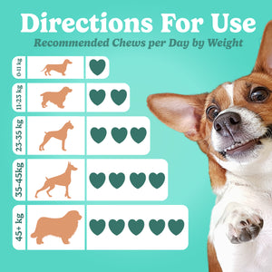 Pre & Probiotic Chews