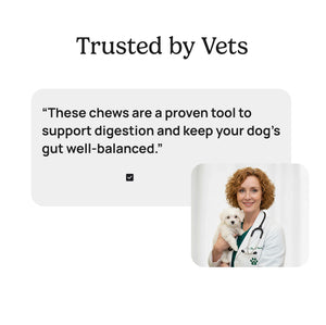 Pre & Probiotic Chews