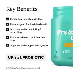 Pre & Probiotic Chews
