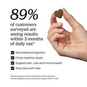 Pre & Probiotic Chews
