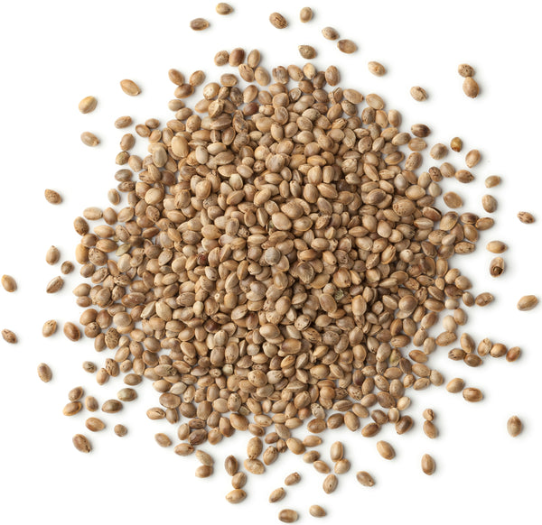 Organic Hemp Seed Oil