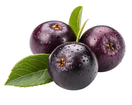 Maqui Berry Extract