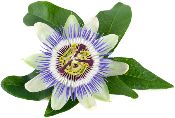 Organic Passion Flower